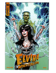 ELVIRA IN MONSTERLAND issue 2 COVER B Comic Book