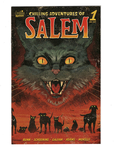 SALEM -- SCHOENING /HERMS COVER   Comic Book