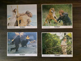 THE ISLAND of DR MOREAU original photo set mini lobby card set of 8