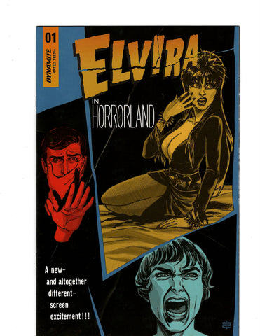 ELVIRA IN HORRORLAND  COVER C ISSUE 1  Comic Book