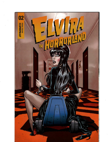 ELVIRA IN HORRORLAND PHOTO COVER C ISSUE 2  Comic Book