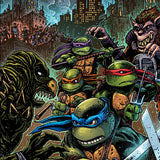 Teenage Mutant Ninja Turtles Secret of the Ooze 1 st pressing  color Vinyl Soundtrack